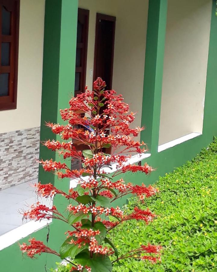 Wikungo Hotel Puerto Narino Bagian luar foto