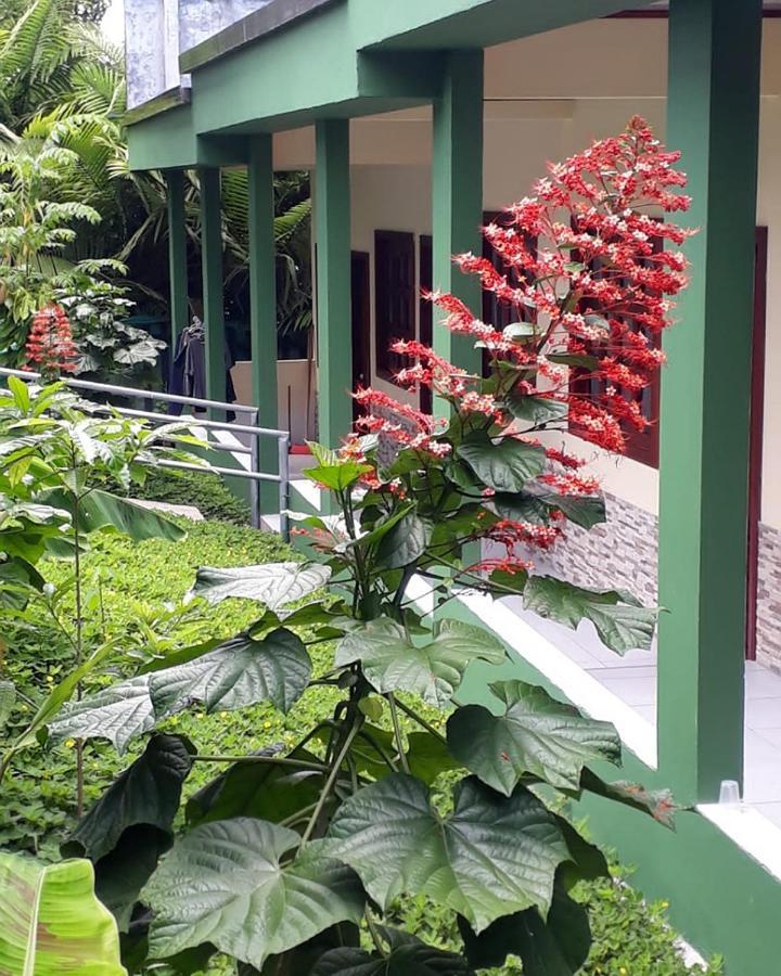 Wikungo Hotel Puerto Narino Bagian luar foto