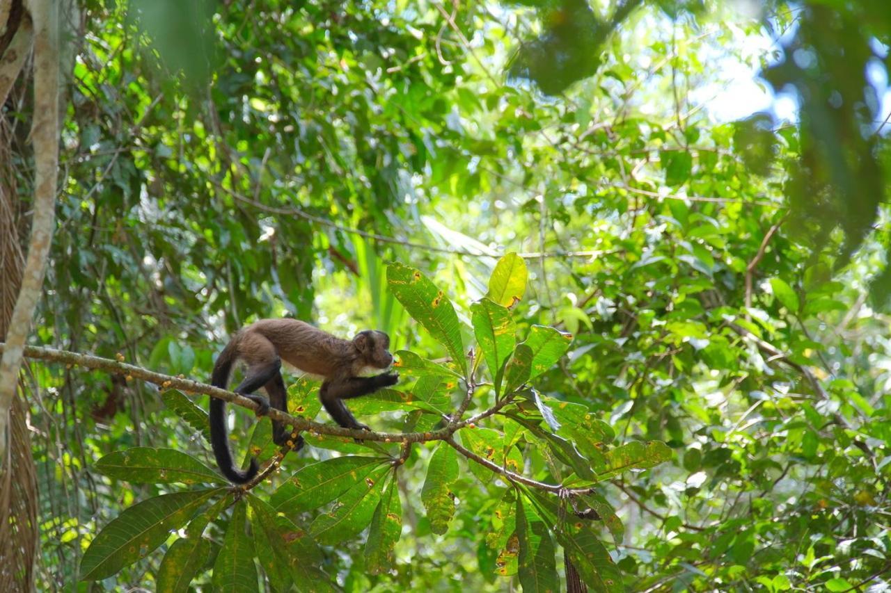 Wikungo Hotel Puerto Narino Bagian luar foto
