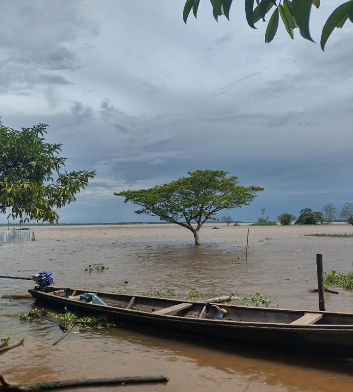 Wikungo Hotel Puerto Narino Bagian luar foto